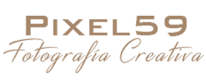 logo pixel59 web