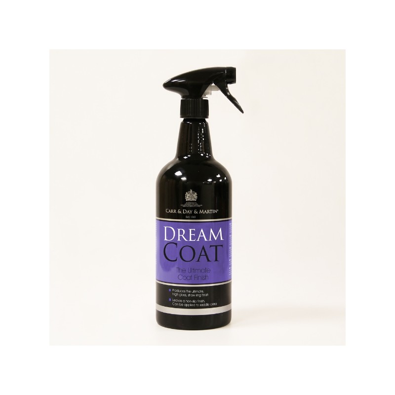 cd-dreamcoat-brillo-final-spray-1l